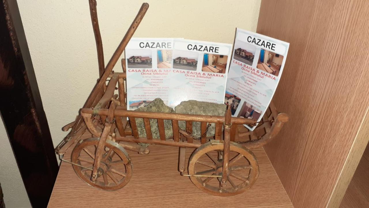 Casa Raisa & Maria Hotel Ocna Sibiului Buitenkant foto