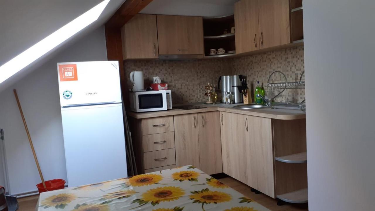Casa Raisa & Maria Hotel Ocna Sibiului Buitenkant foto