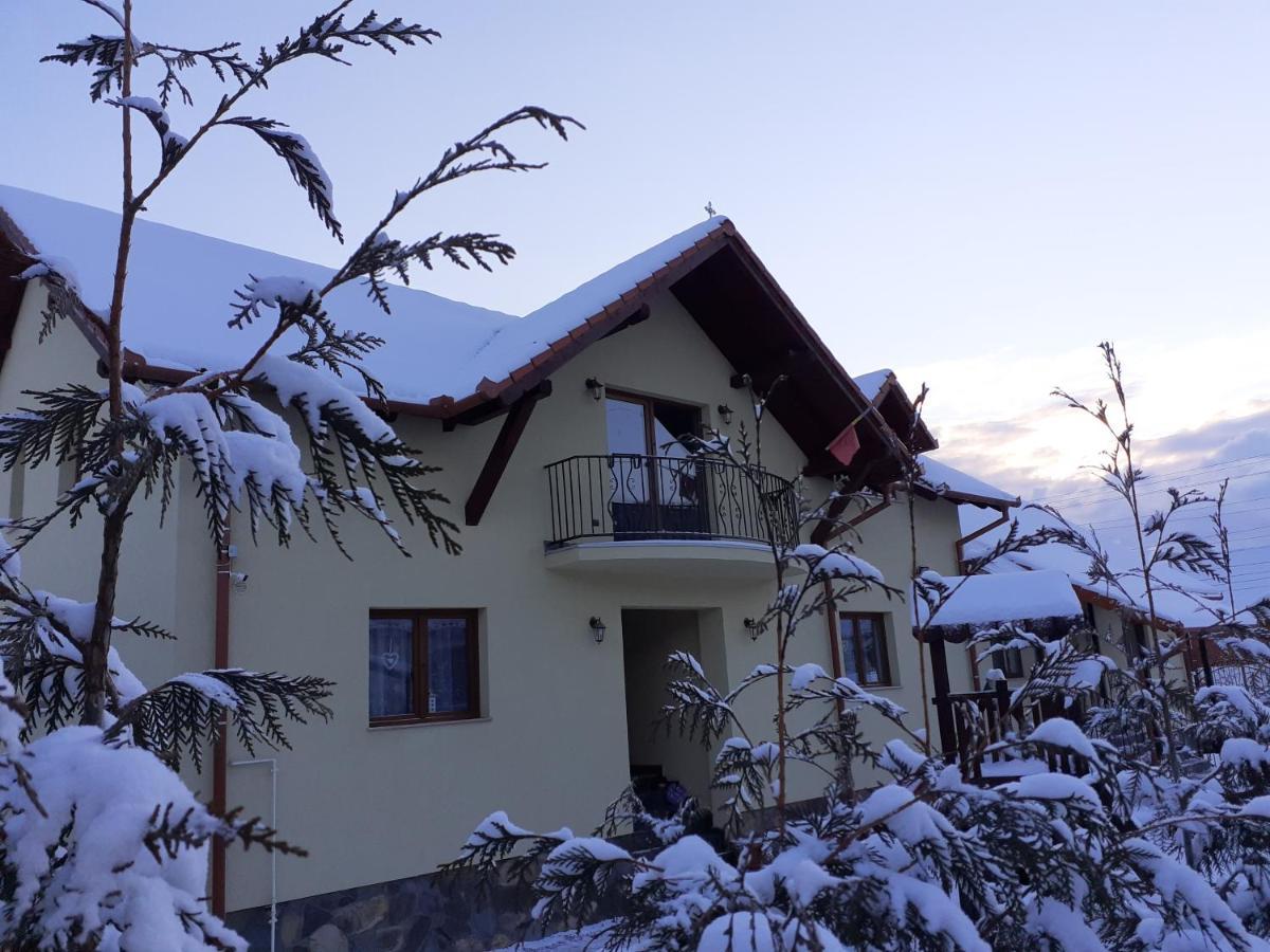 Casa Raisa & Maria Hotel Ocna Sibiului Buitenkant foto