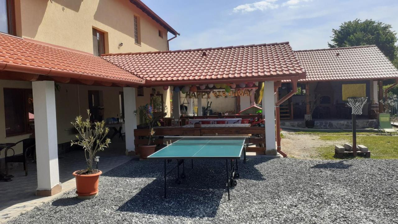 Casa Raisa & Maria Hotel Ocna Sibiului Buitenkant foto