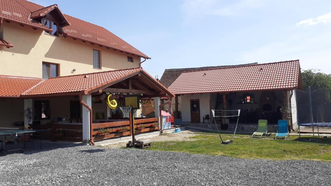 Casa Raisa & Maria Hotel Ocna Sibiului Buitenkant foto