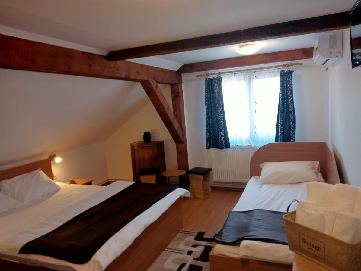 Casa Raisa & Maria Hotel Ocna Sibiului Buitenkant foto