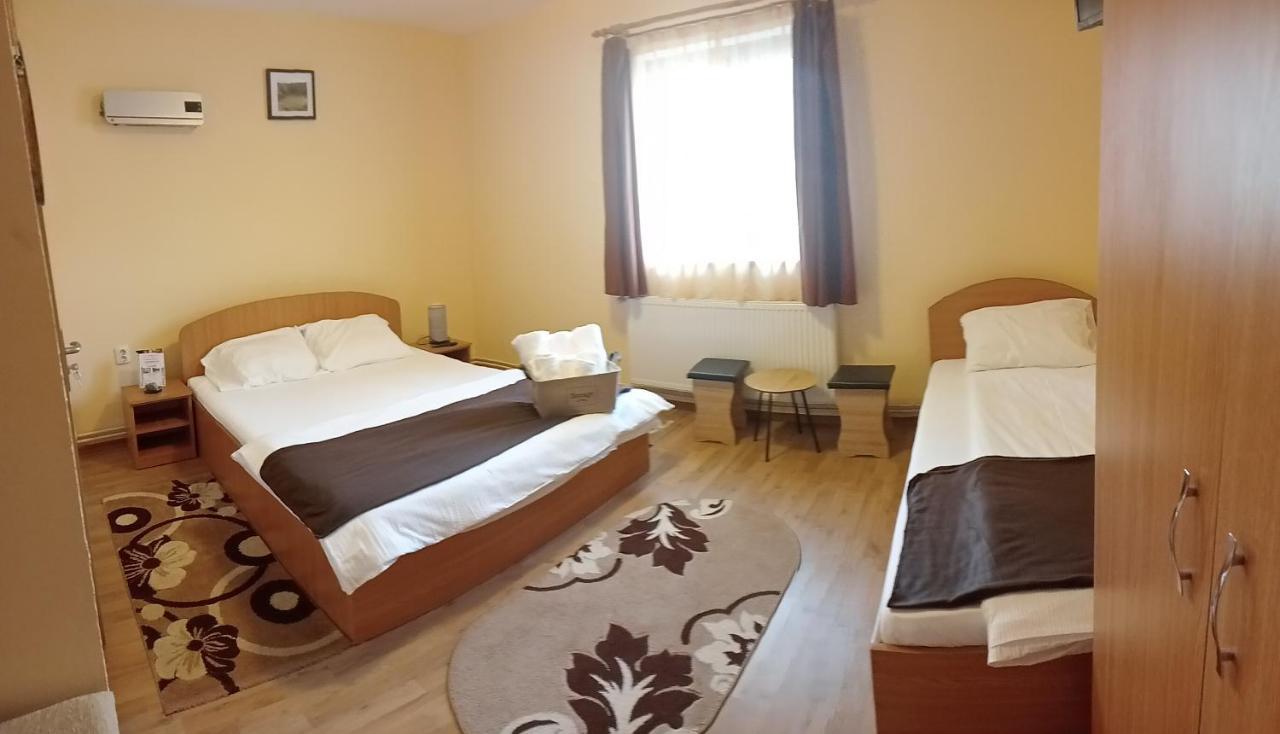 Casa Raisa & Maria Hotel Ocna Sibiului Buitenkant foto