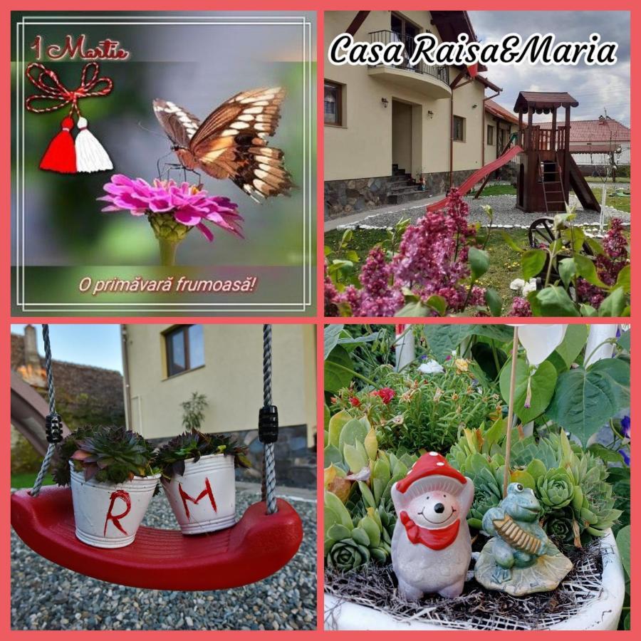 Casa Raisa & Maria Hotel Ocna Sibiului Buitenkant foto