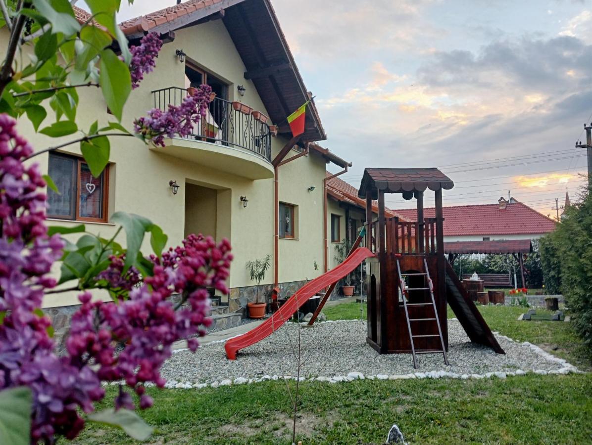 Casa Raisa & Maria Hotel Ocna Sibiului Buitenkant foto