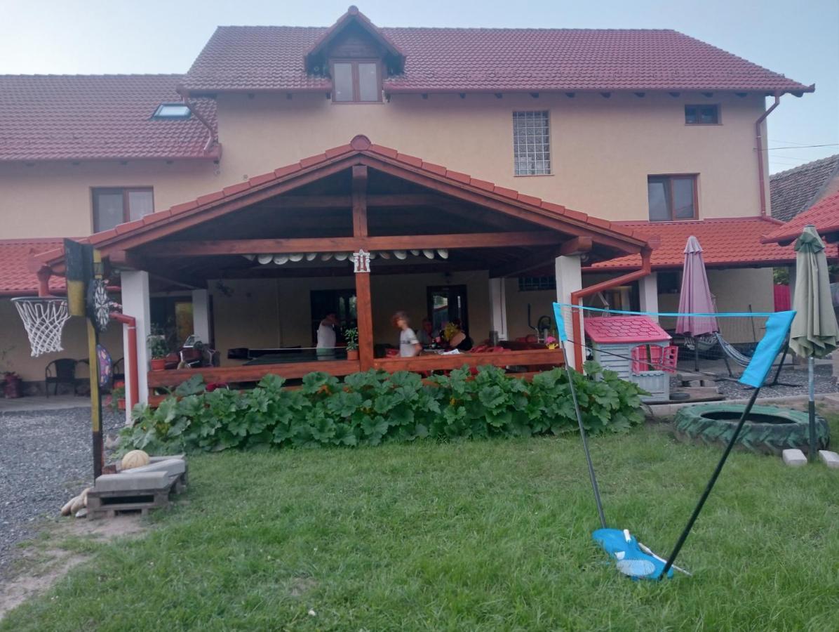 Casa Raisa & Maria Hotel Ocna Sibiului Buitenkant foto