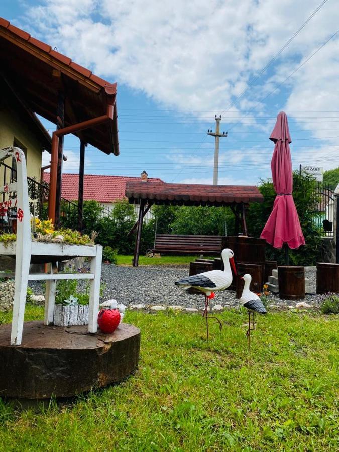 Casa Raisa & Maria Hotel Ocna Sibiului Buitenkant foto