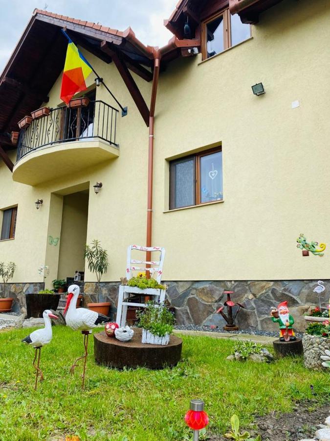 Casa Raisa & Maria Hotel Ocna Sibiului Buitenkant foto